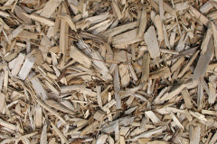 biomass boilers Cleadale